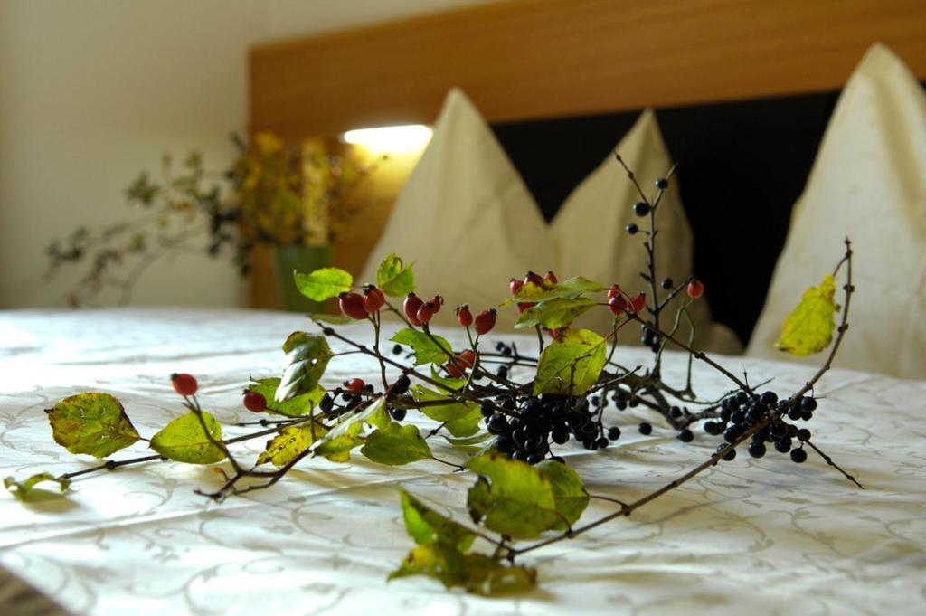 Villa Tilia 시우시 객실 사진